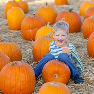 Pumpkin patches in DFW 2017